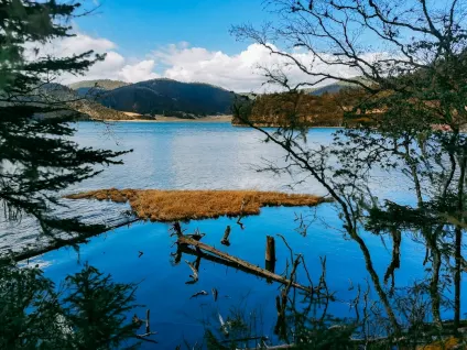 ВагонБет Казино Мобилно приложение